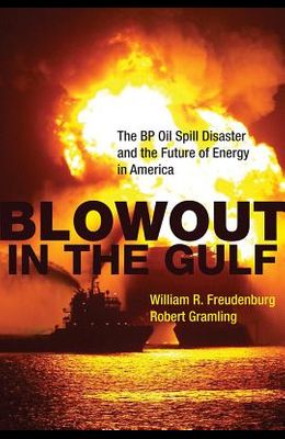 The BP Oil Spill Disaster and the Future of Energy in America