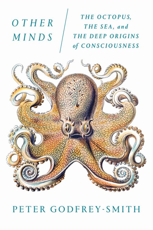 The octopus, the sea and the deep origins of consciousness