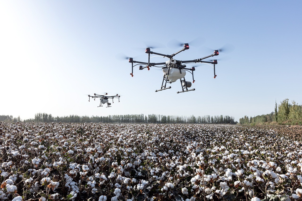 Drones hovering over cotton crop.